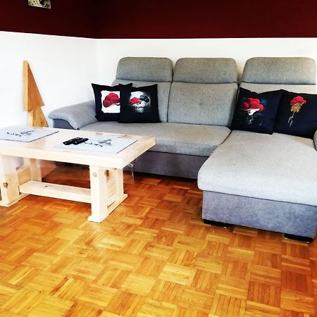 Ferienwohnung Villingen ภายนอก รูปภาพ