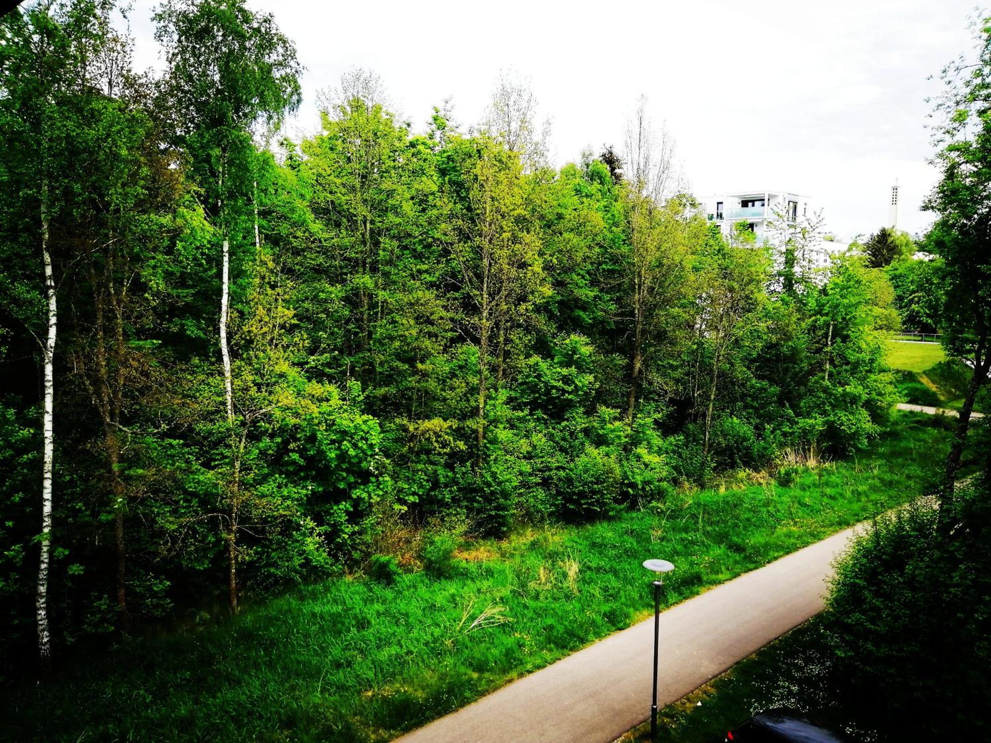 Ferienwohnung Villingen ภายนอก รูปภาพ